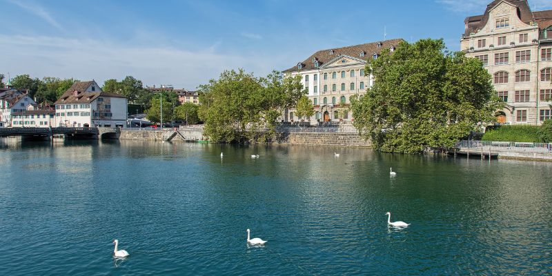 Swimming in the Limmat River